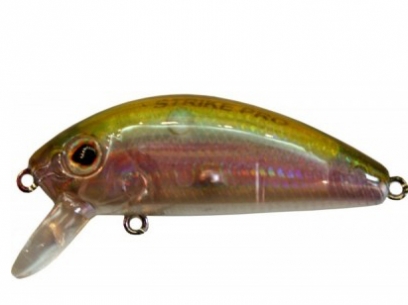 Mustang minnow Clearance
